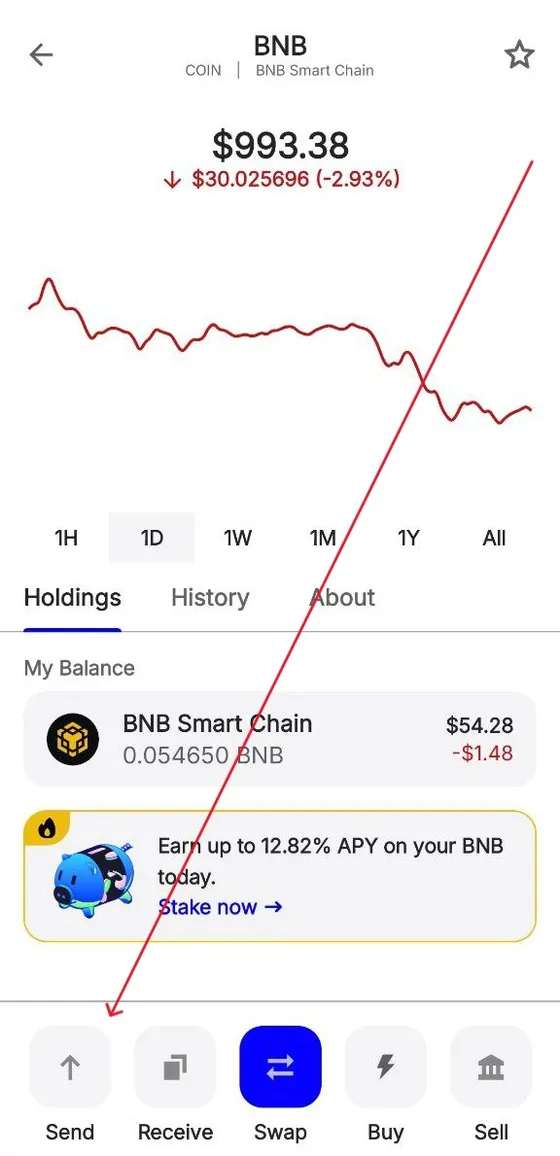 Trust Wallet: the BNB screen with the Send button